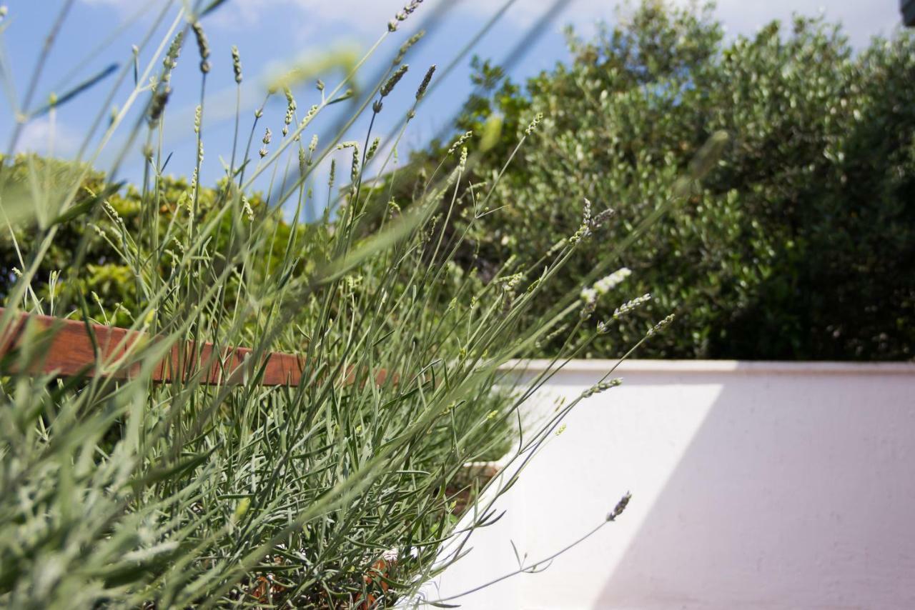 סופטאר Holiday Home Laurea מראה חיצוני תמונה